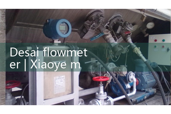 Desai flowmeter